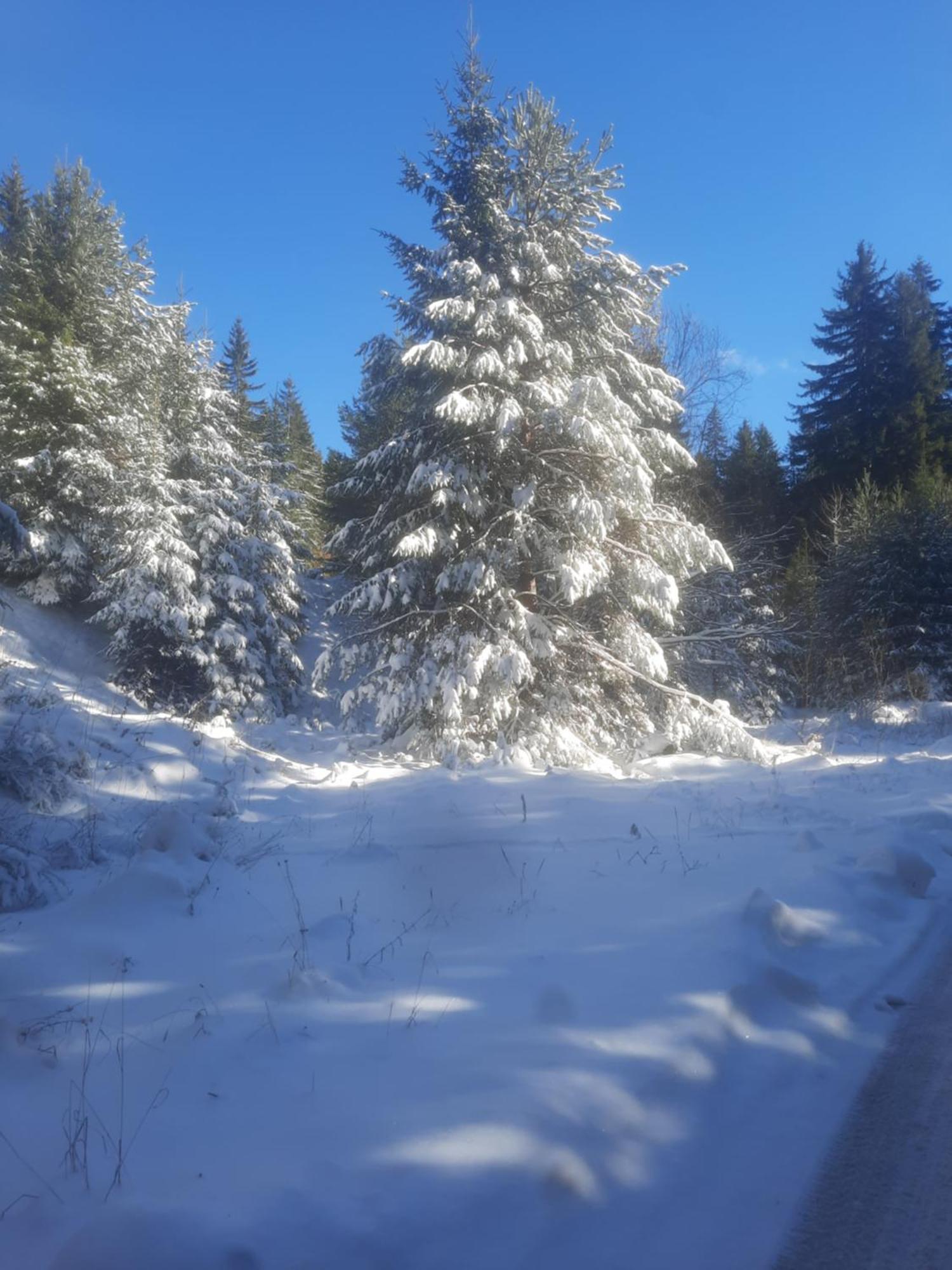 Семеен Хотел Кристал Smolyan Eksteriør billede